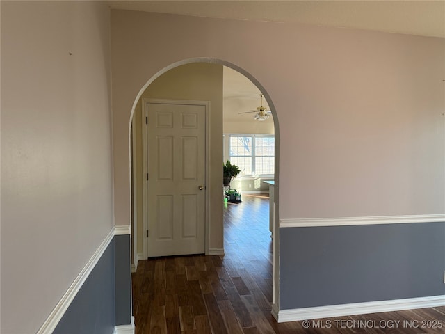 hallway featuring dark wood-type flooring