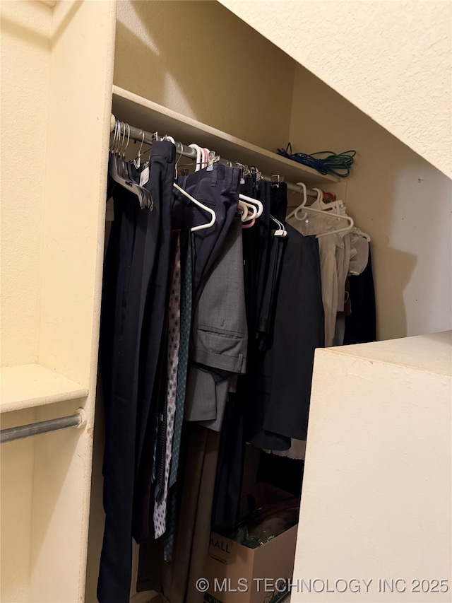 view of closet