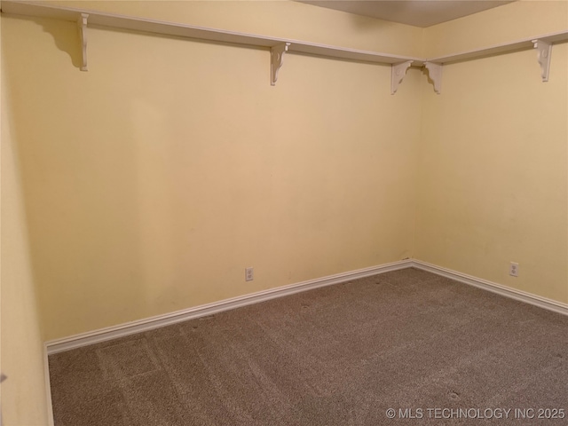 walk in closet featuring carpet flooring