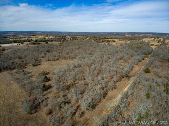 Division, Lehigh OK, 74556 land for sale