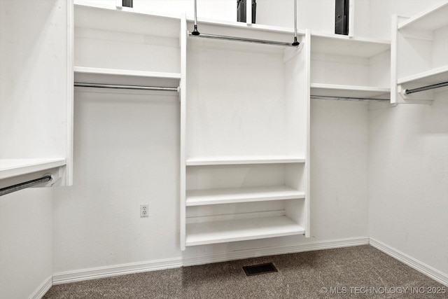 walk in closet featuring carpet flooring