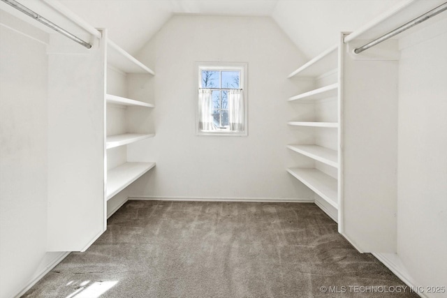 walk in closet with lofted ceiling and carpet flooring