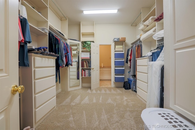 walk in closet with light carpet