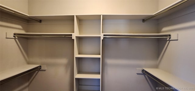 view of spacious closet