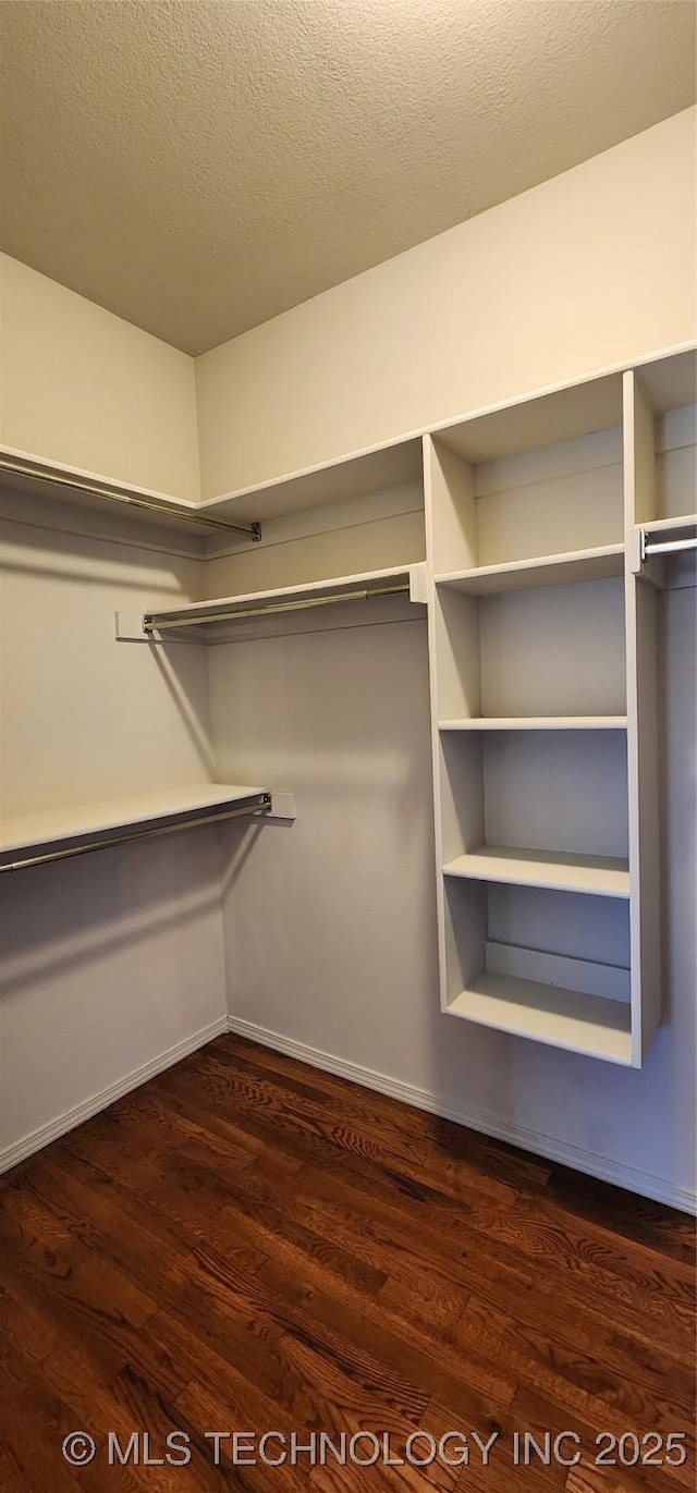 spacious closet featuring dark wood-type flooring