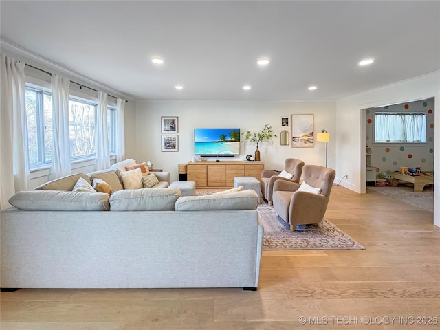 living room featuring ornamental molding and light wood-type flooring