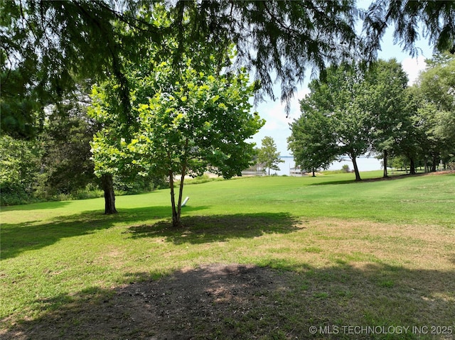 view of community with a yard