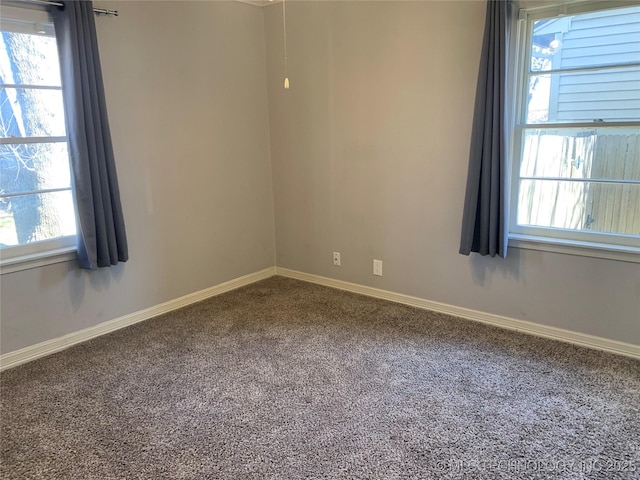 spare room with carpet floors and a wealth of natural light