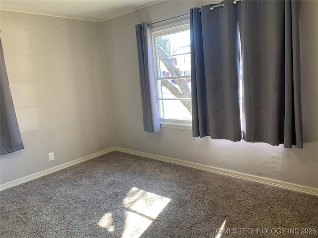 empty room with plenty of natural light and carpet