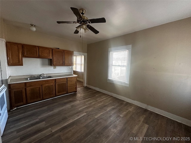 kitchen featuring ceiling fan, sink, and dark hardwood / wood-style floors