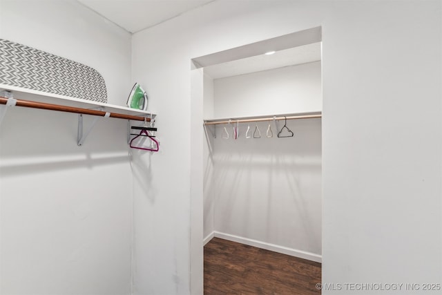 spacious closet featuring dark hardwood / wood-style flooring