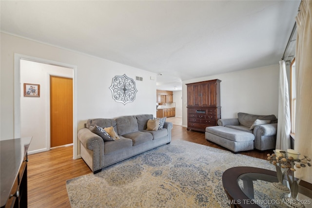 living room featuring hardwood / wood-style floors