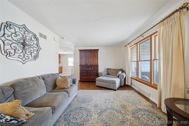 living room with hardwood / wood-style floors and a textured ceiling