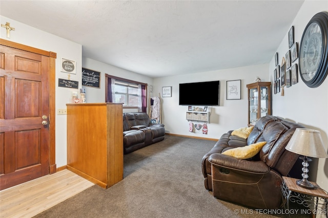 living room featuring carpet flooring