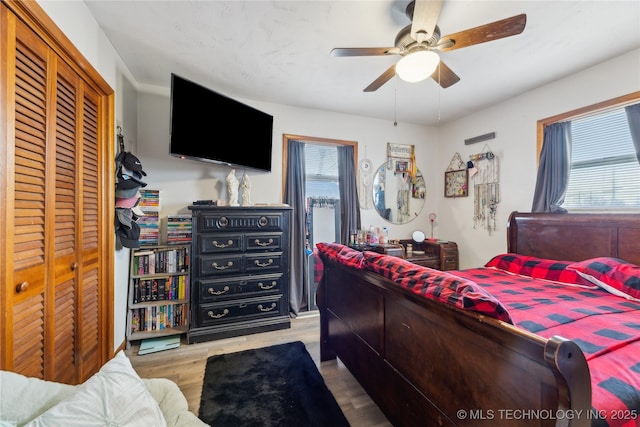 bedroom with ceiling fan, multiple windows, and light hardwood / wood-style flooring