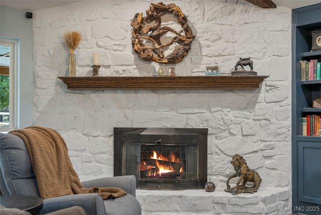 details featuring a stone fireplace