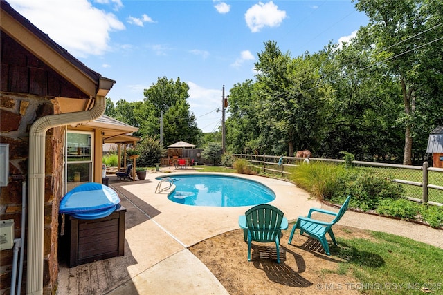 view of pool with a patio