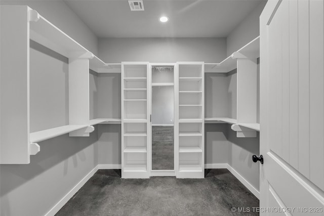 view of spacious closet