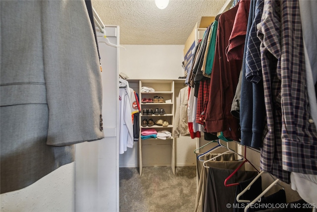 walk in closet featuring carpet