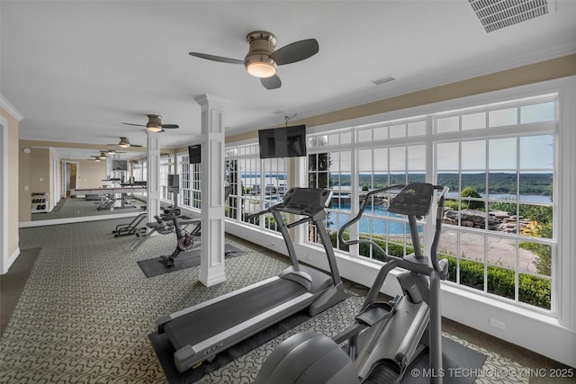 exercise room with crown molding, plenty of natural light, and ceiling fan