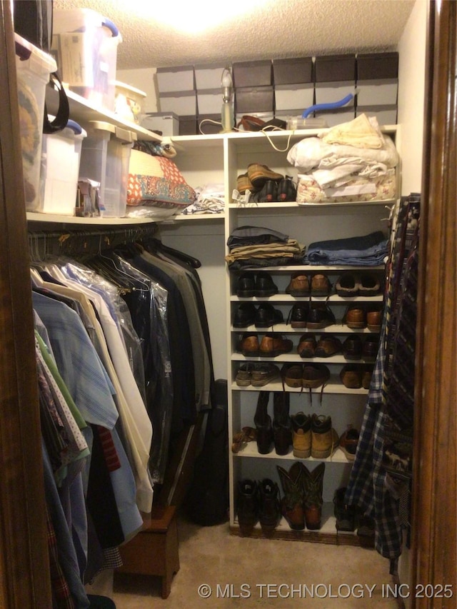 view of spacious closet