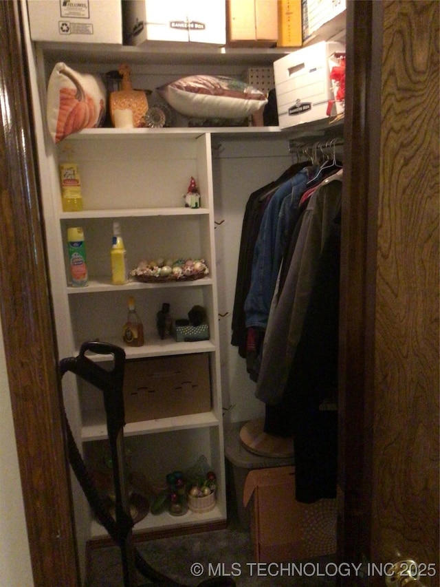 view of walk in closet