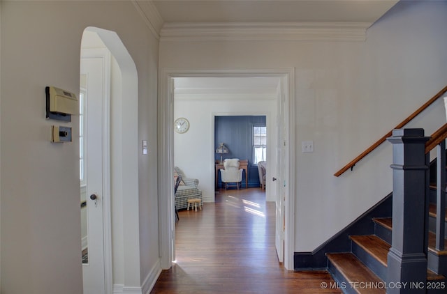 hallway featuring ornamental molding and dark hardwood / wood-style floors