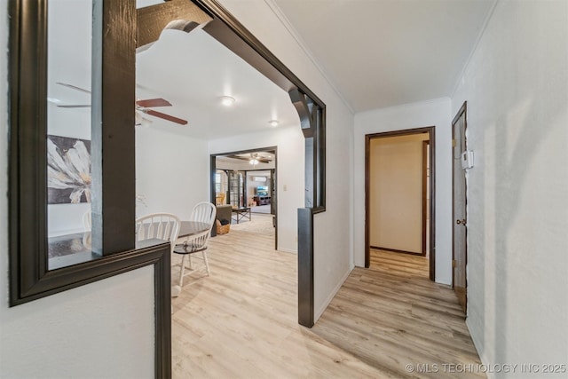 corridor with crown molding and light hardwood / wood-style floors