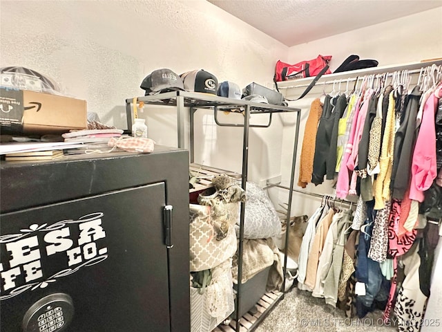 spacious closet featuring carpet