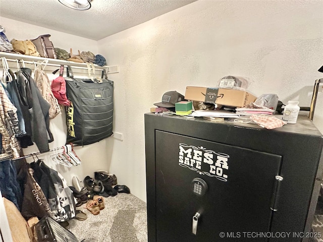 walk in closet featuring carpet floors