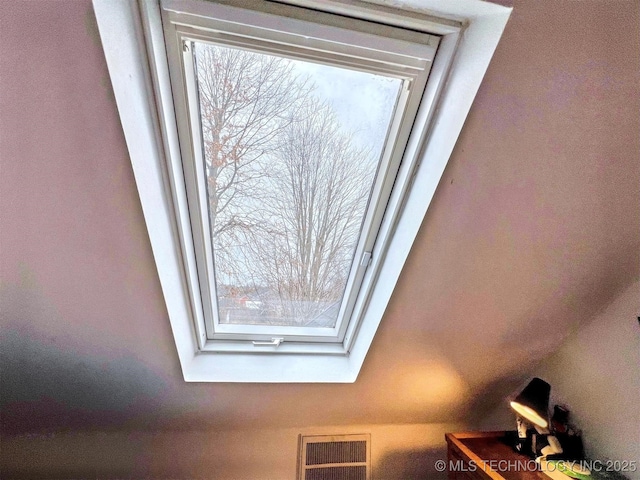 interior details with a skylight