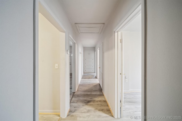 hall with light hardwood / wood-style flooring