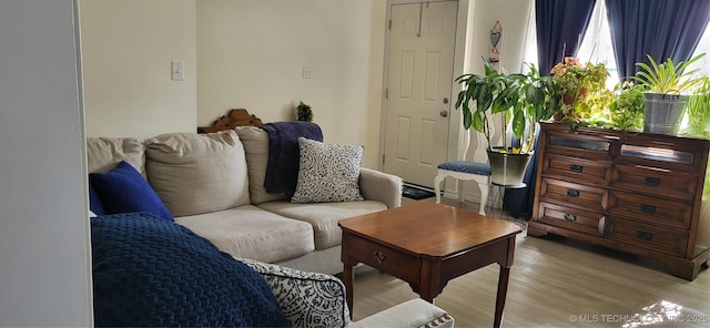 living room with light wood-type flooring