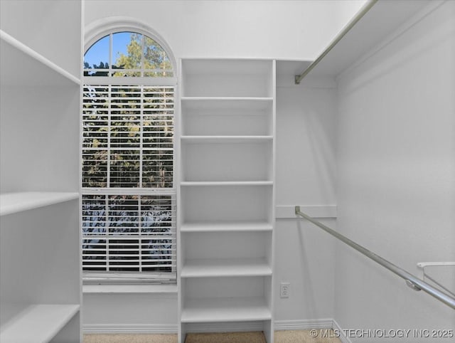 view of walk in closet