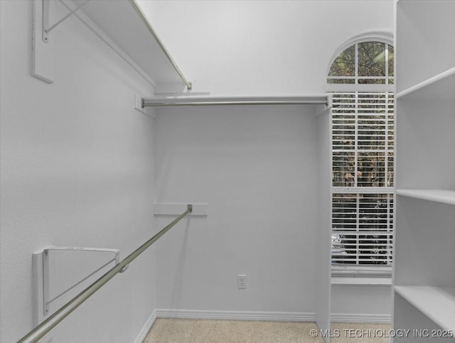 view of spacious closet