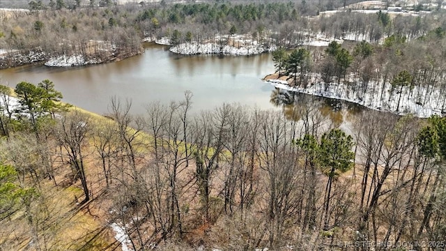 bird's eye view featuring a water view