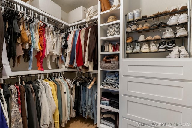 view of spacious closet