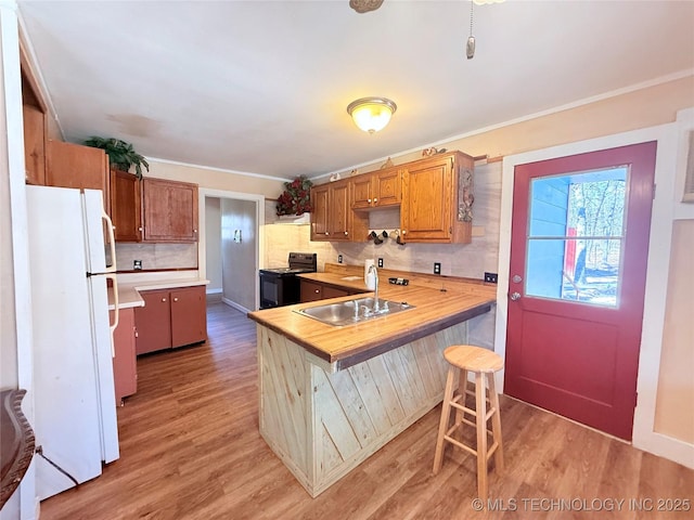 kitchen featuring light wood-style flooring, a sink, black range with electric cooktop, and freestanding refrigerator
