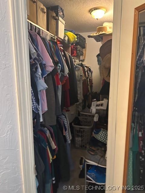 view of spacious closet