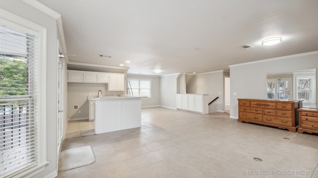 interior space featuring white cabinetry and crown molding