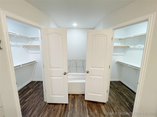 spacious closet featuring dark wood-type flooring