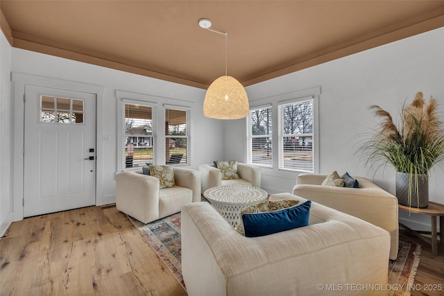 living room with wood-type flooring