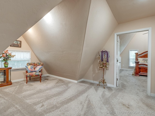13003 County Road 1556, Ada, OK 74820 - photo 32