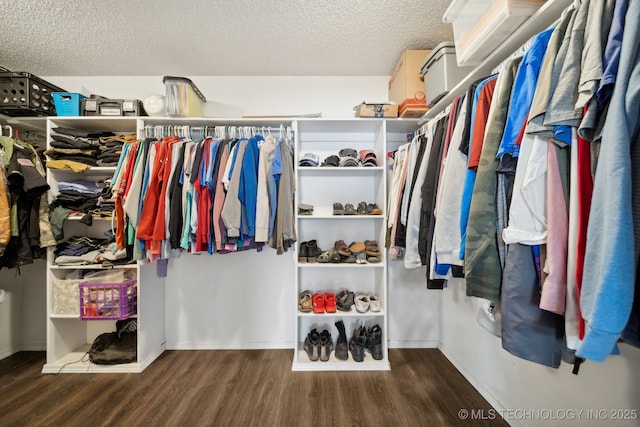 spacious closet with hardwood / wood-style flooring