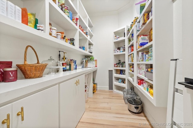 view of pantry