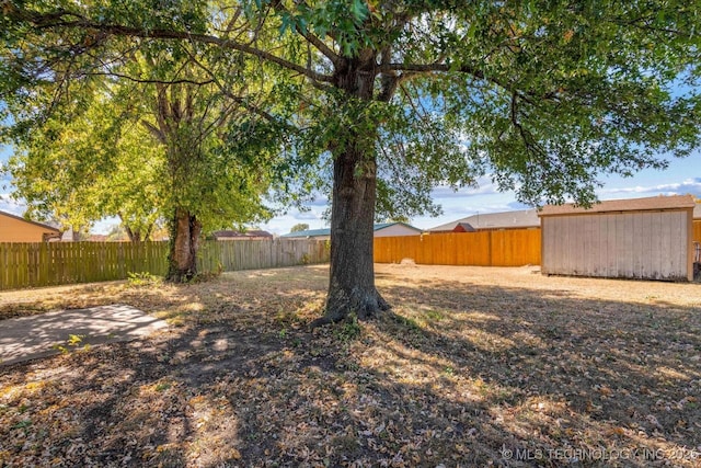 view of yard with a shed