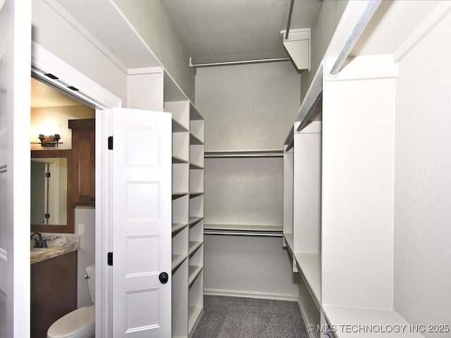 spacious closet with sink and dark carpet