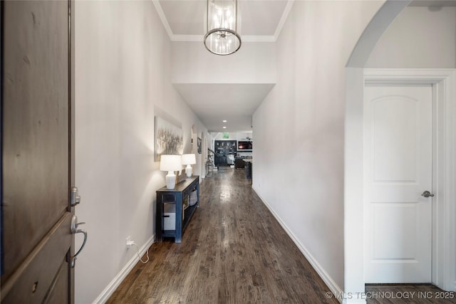 hallway featuring crown molding and dark hardwood / wood-style flooring