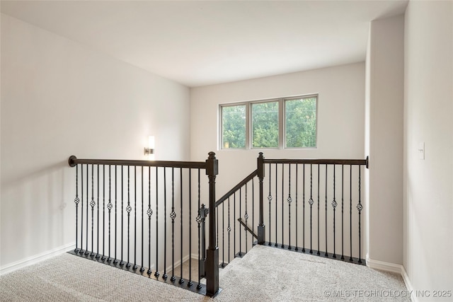 stairs featuring carpet flooring