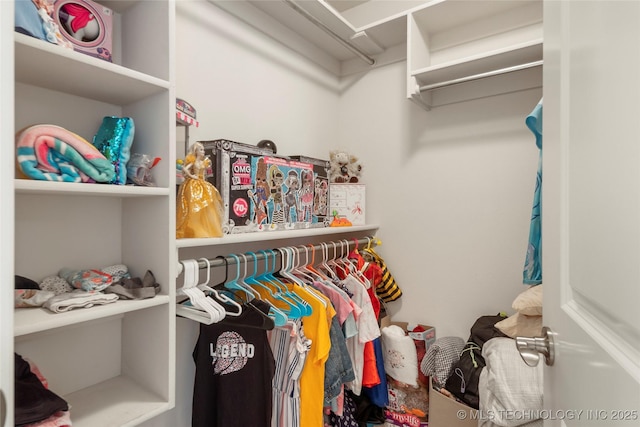 view of spacious closet